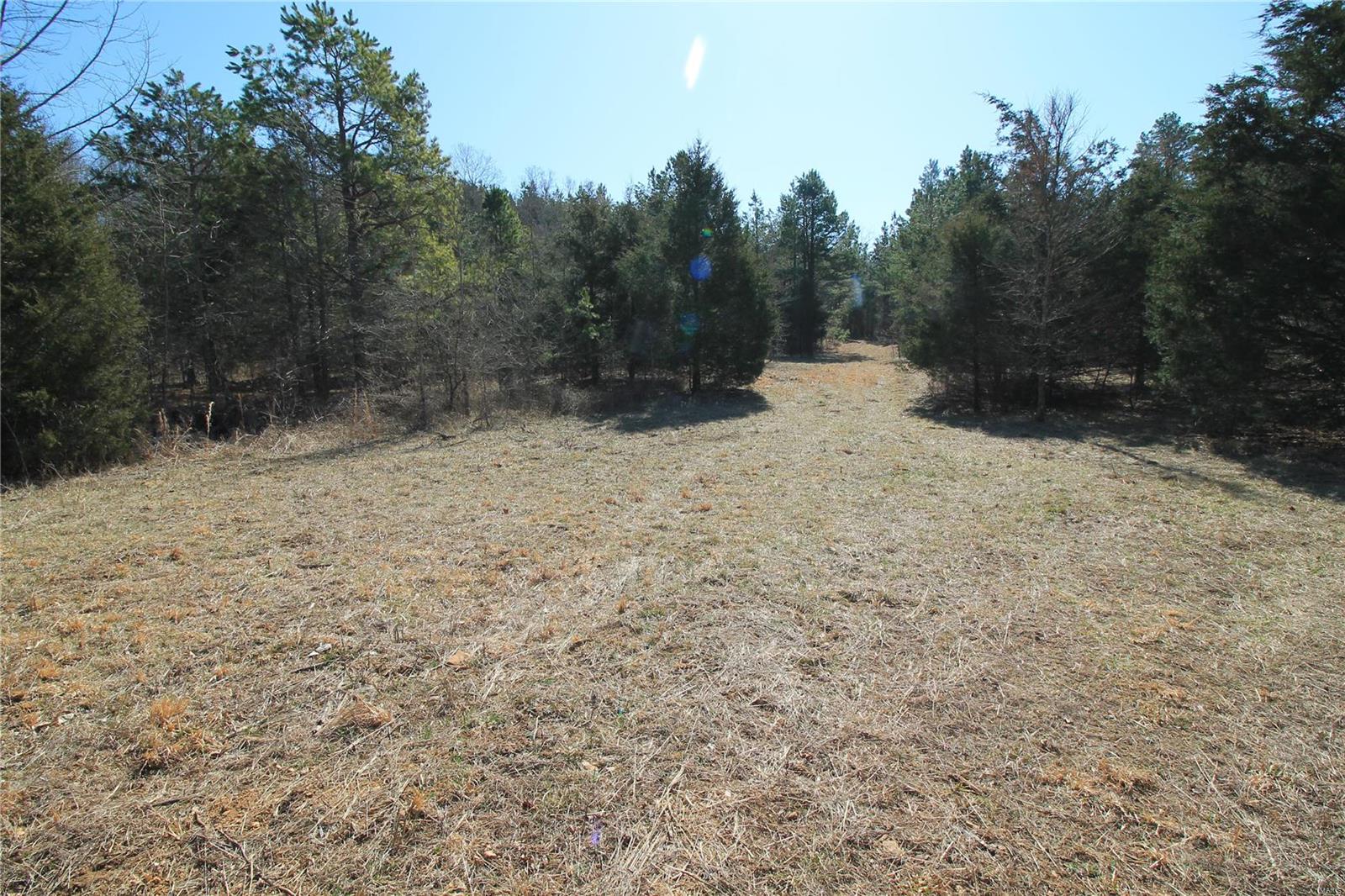 0 Madison Cr Fredericktown, MO 63645 - Photo 12 of 21