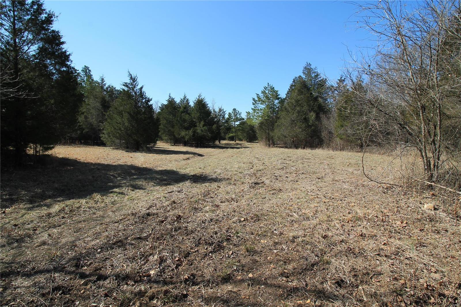 0 Madison Cr Fredericktown, MO 63645 - Photo 13 of 21