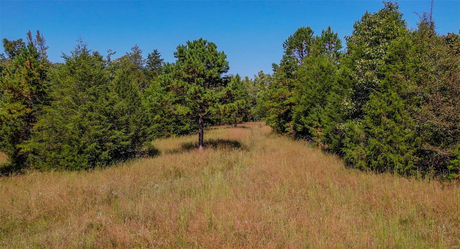 0 Madison Cr Fredericktown, MO 63645 - Photo 14 of 21