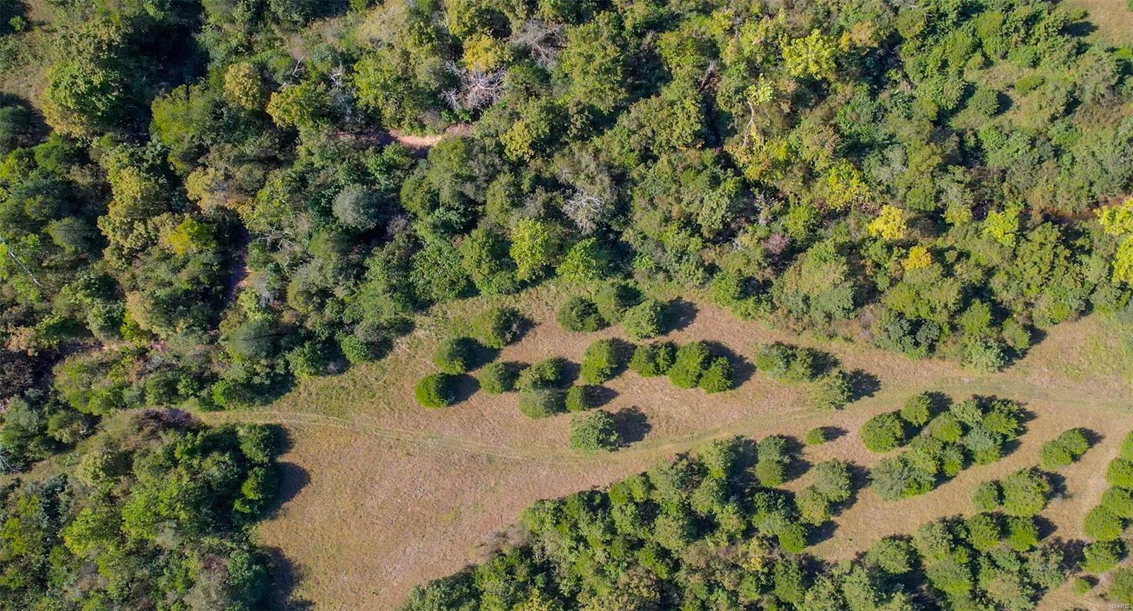 0 Madison Cr Fredericktown, MO 63645 - Photo 15 of 21