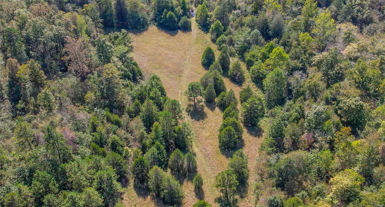 0 Madison Cr Fredericktown, MO 63645 - Photo 16 of 21