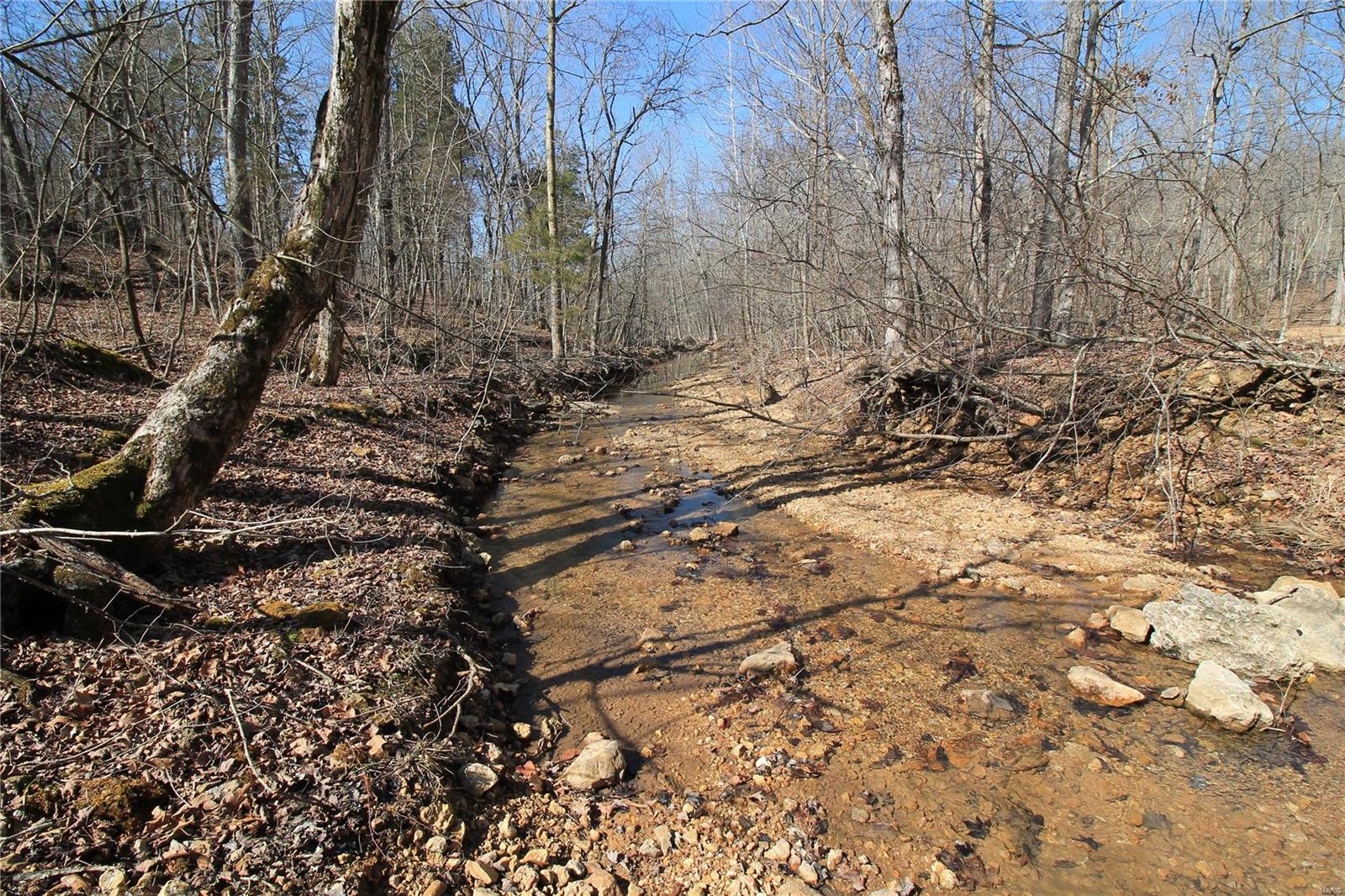 0 Madison Cr Fredericktown, MO 63645 - Photo 2 of 21