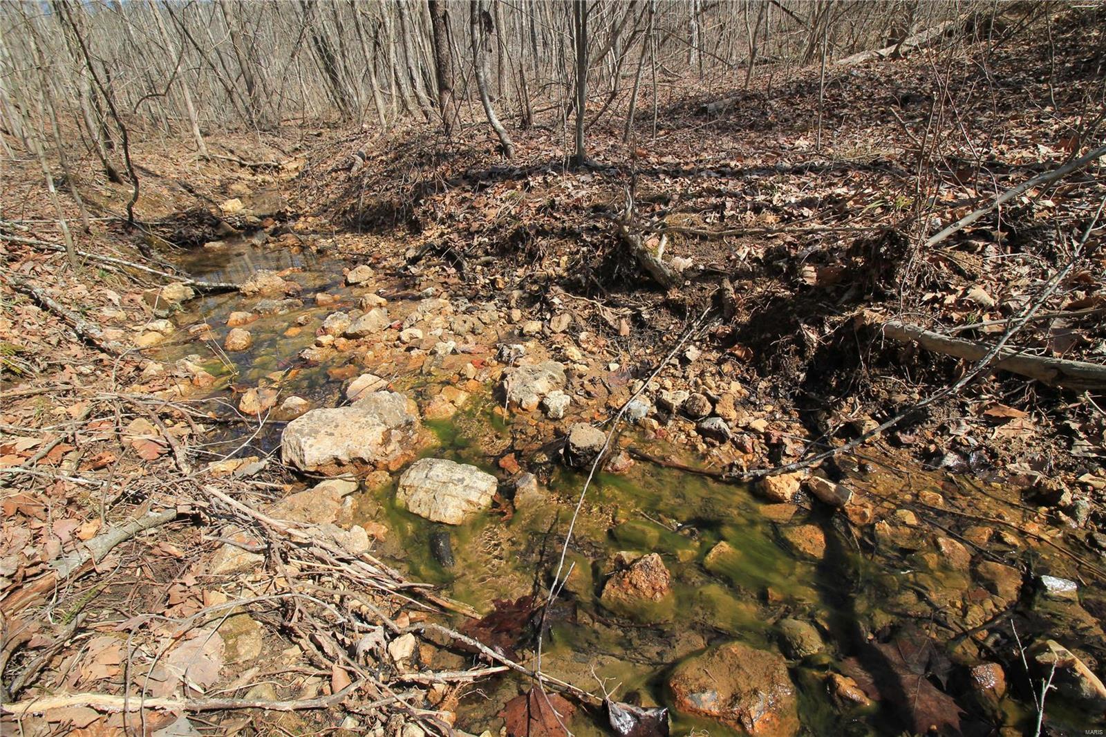 0 Madison Cr Fredericktown, MO 63645 - Photo 4 of 21