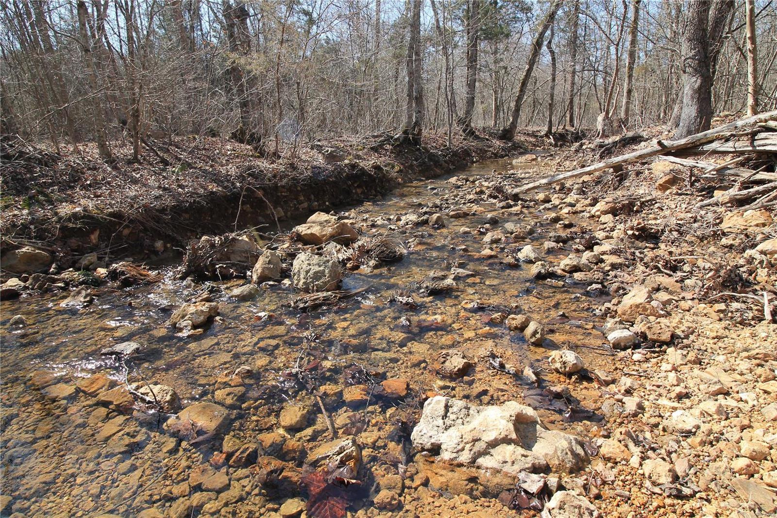 0 Madison Cr Fredericktown, MO 63645 - Photo 5 of 21