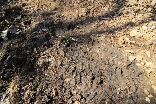 $647,500 | 0 Madison Cr, Fredericktown, MO 63645