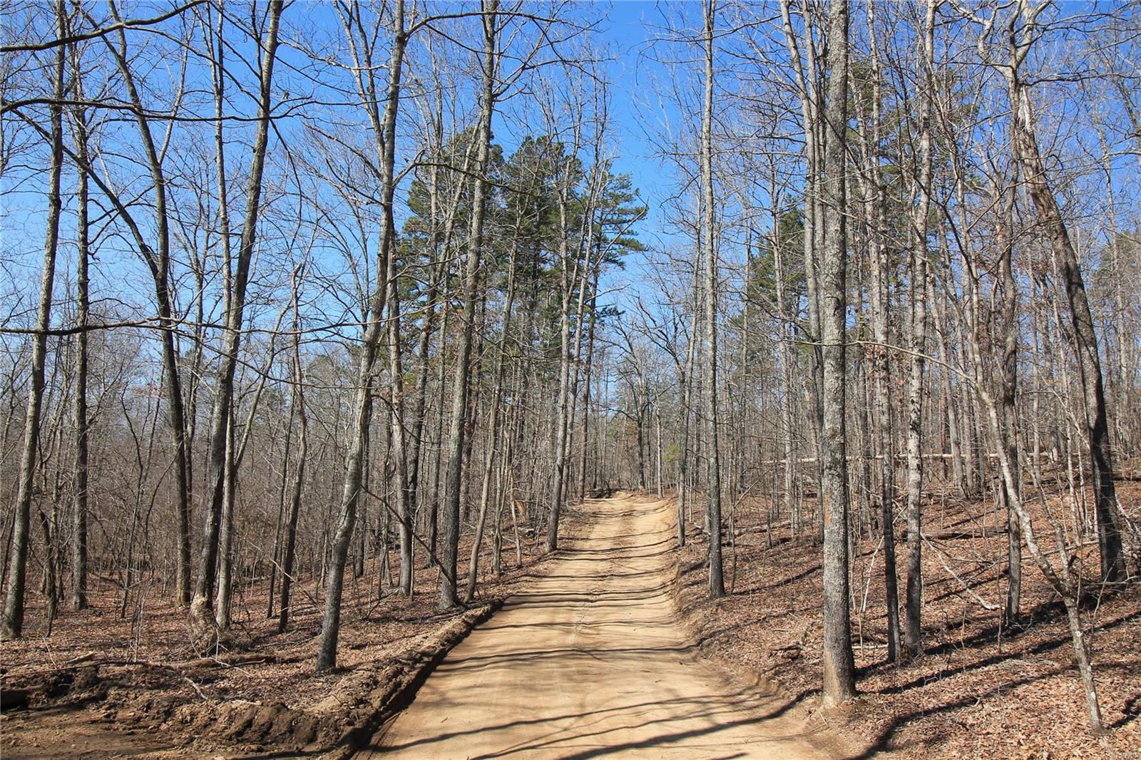 0 Madison Cr Fredericktown, MO 63645 - Photo 9 of 21