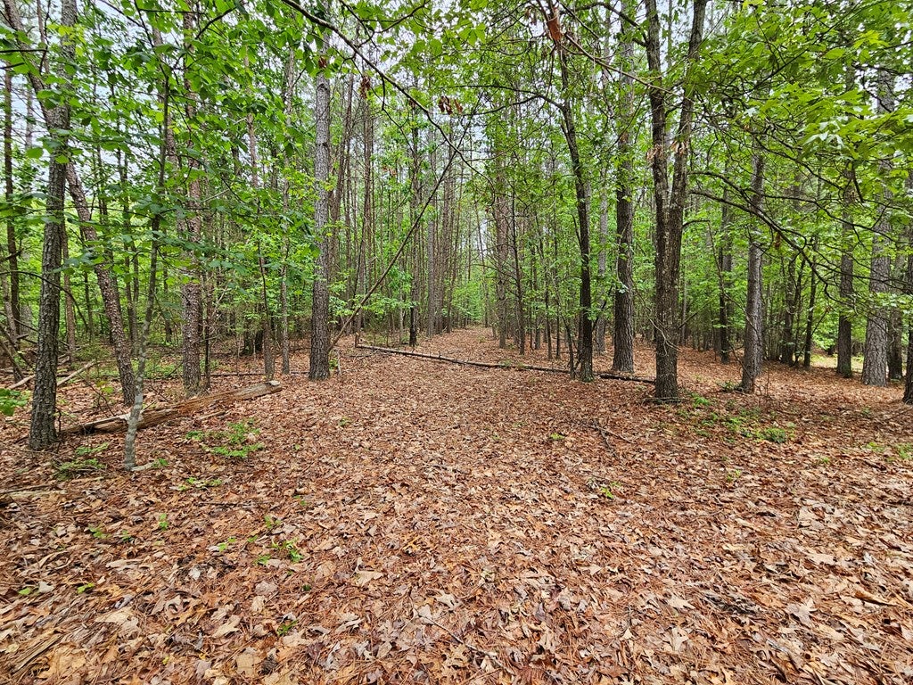 735 Mt Alto Road Esmont, VA 22937 - Photo 16 of 27 Gallery Image 16