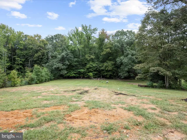 a view of a house with backyard and trees
