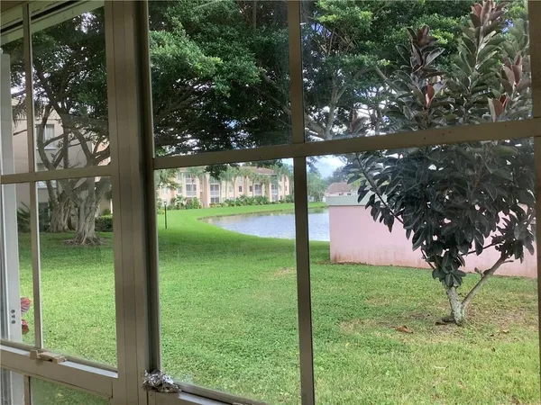 a view of a trees in a yard