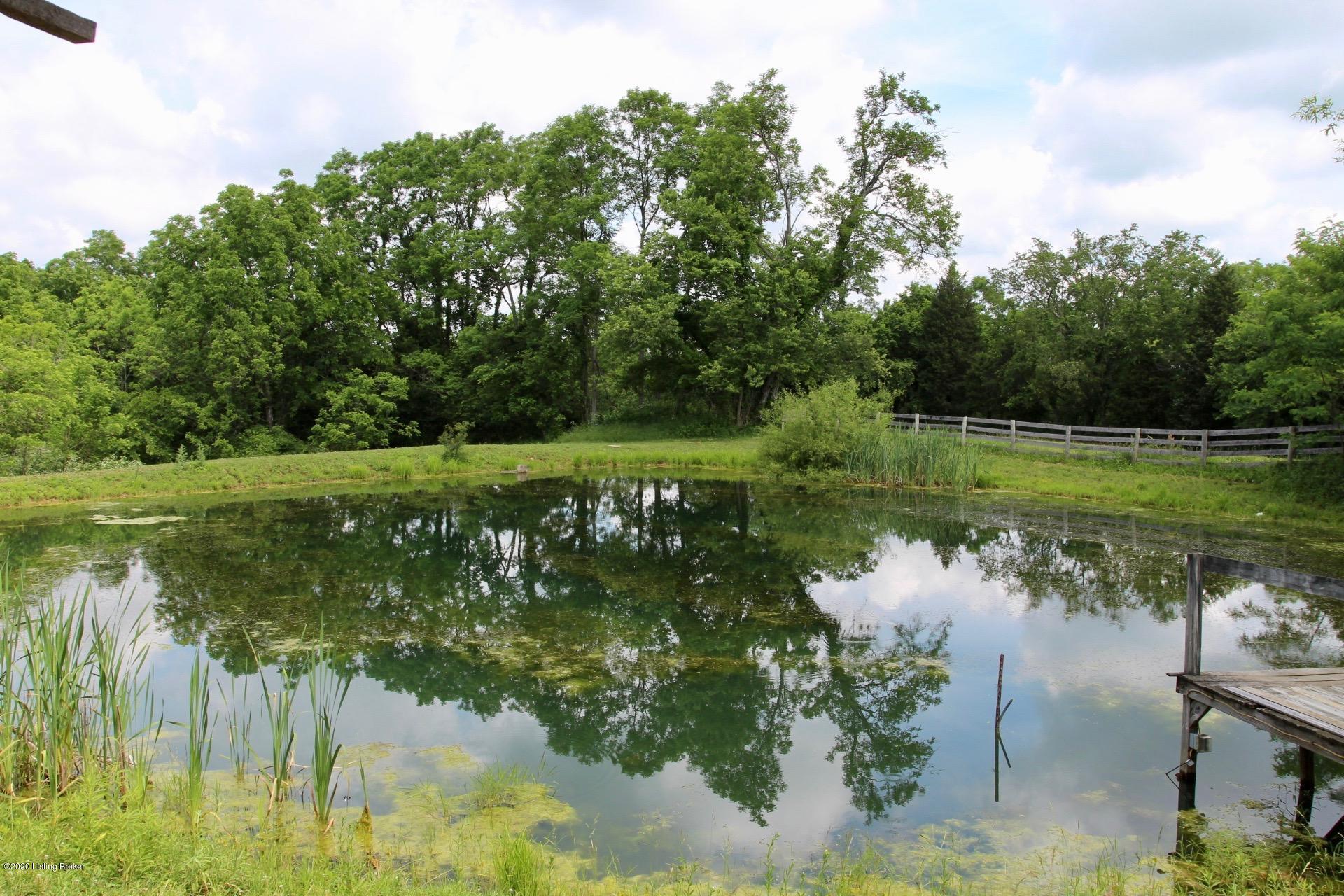 0 Morton Ridge Road Bedford, KY 40006 - Photo 18 of 48 Morton Ridge Farm