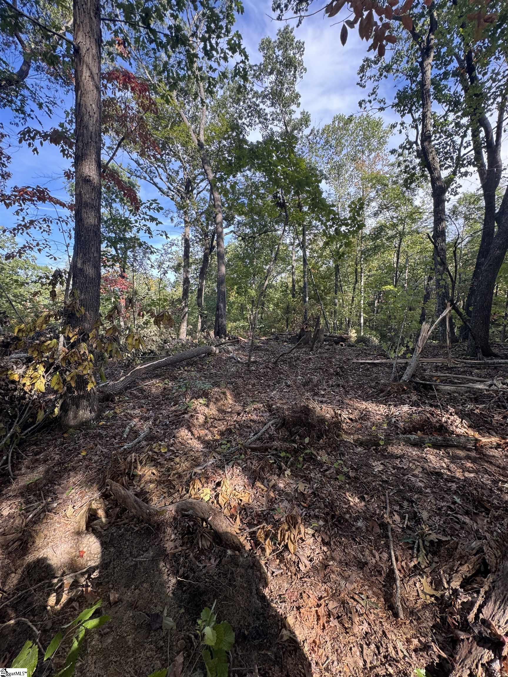 4502 Hawkins Road Greer, SC 29651 - Photo 2 of 6