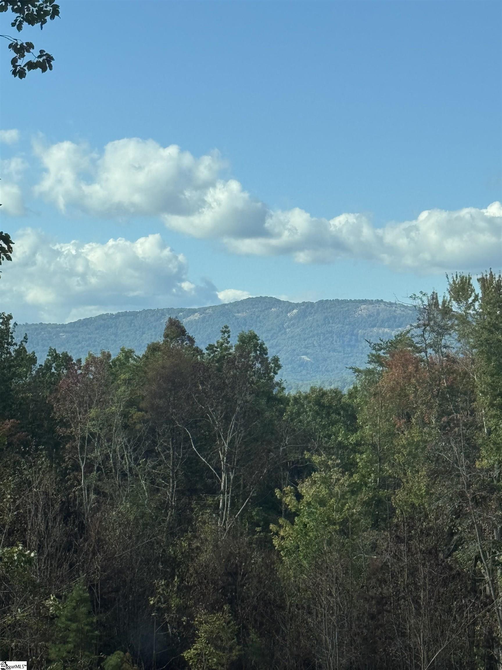 4502 Hawkins Road Greer, SC 29651 - Photo 3 of 6