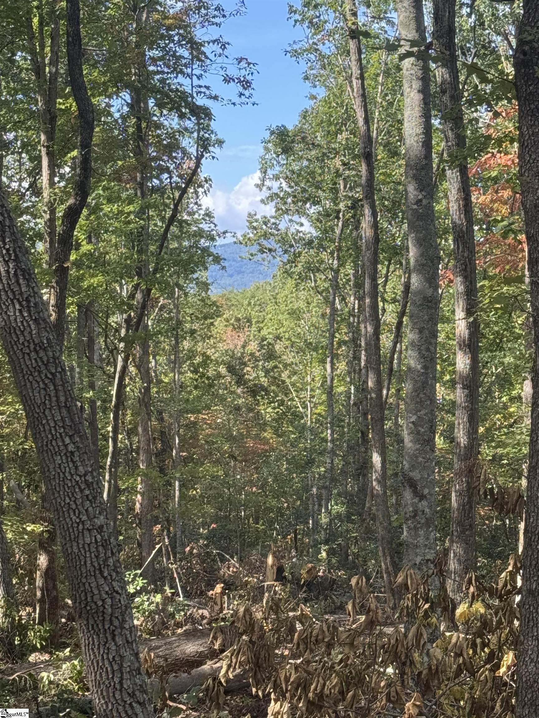 4502 Hawkins Road Greer, SC 29651 - Photo 4 of 6