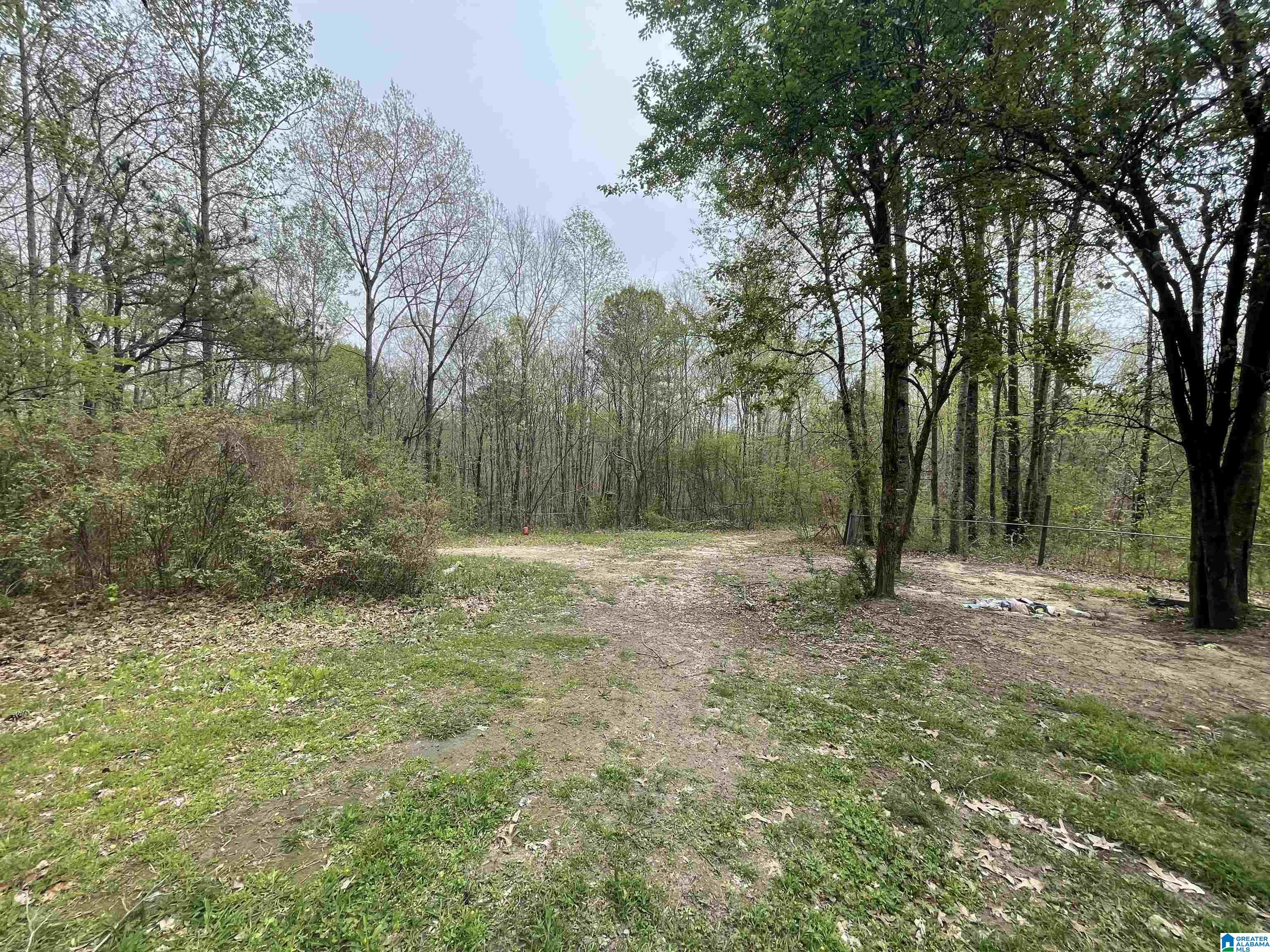 212 Pebble Lane Hayden, AL 35079 - Photo 27 of 33