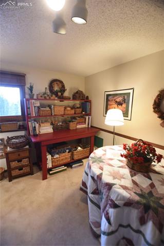 1161 Pine Ridge Road Woodland Park, CO 80863 - Photo 31 of 40 Family Room on Lower Level.