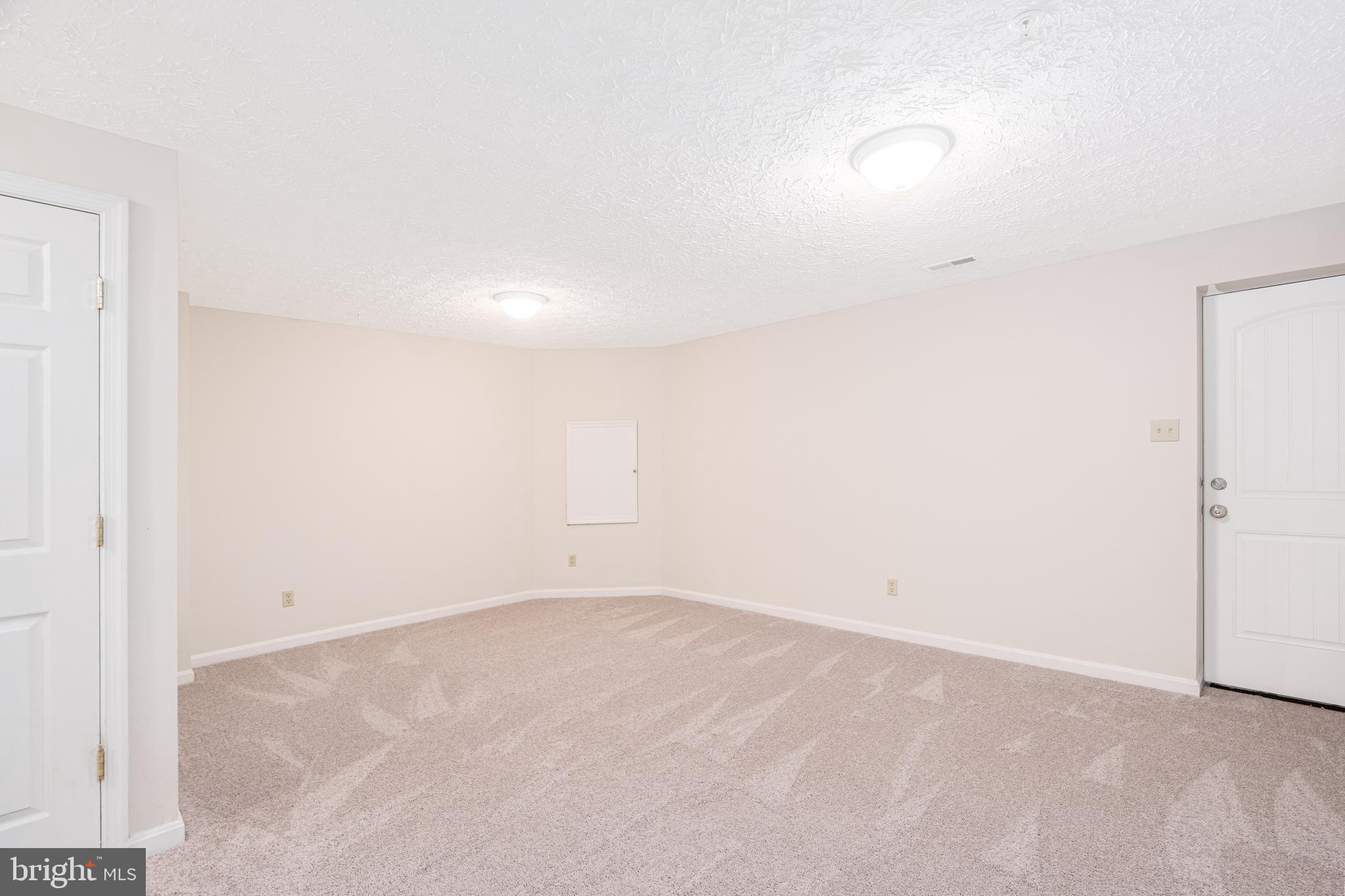 434 Buttonwoods Road Elkton, MD 21921 - Photo 13 of 16 Versatile basement room, access to walkout steps
