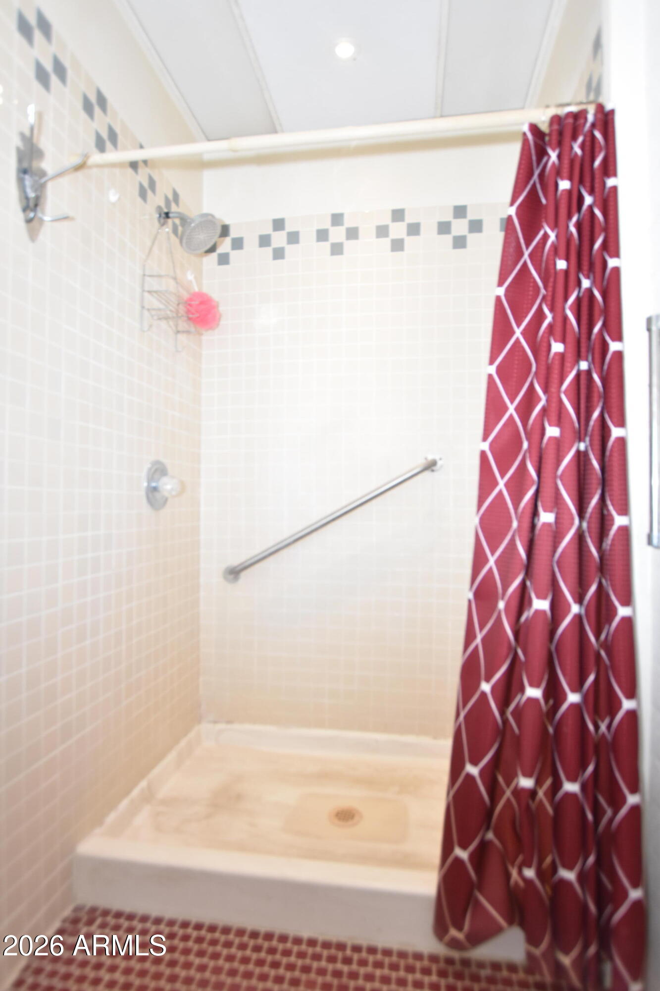 1140 West Briggs Road Ajo, AZ 85321 - Photo 16 of 42 a bathroom with a shower