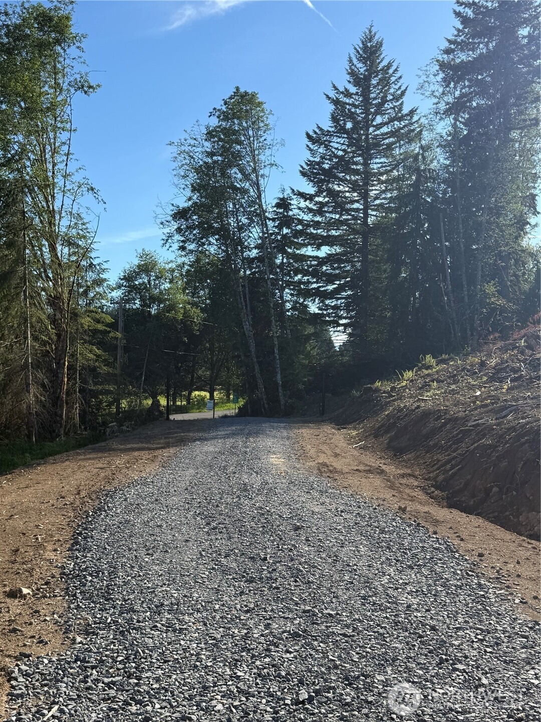215 Mineral Road North Mineral, WA 98355 - Photo 4 of 29