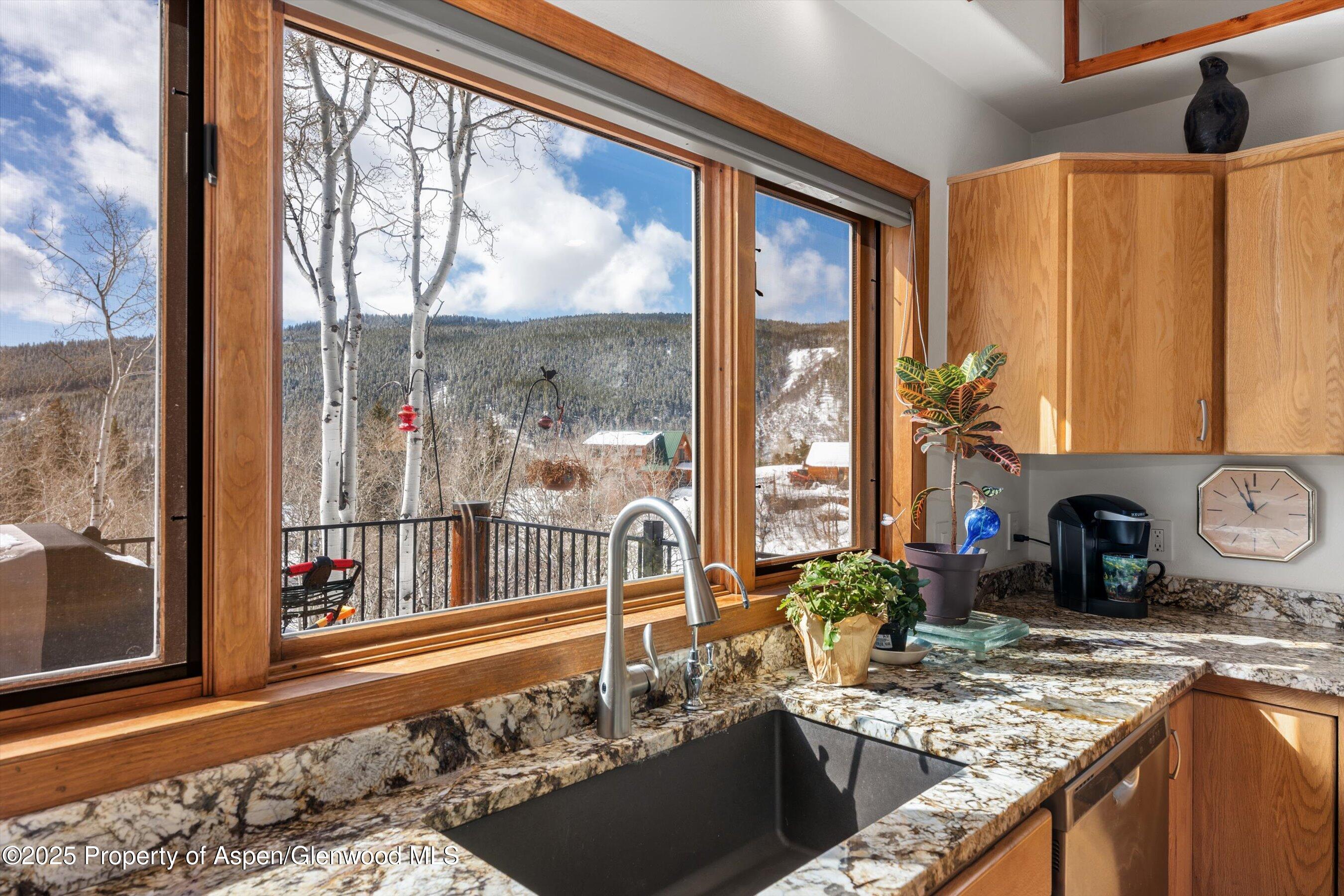 238 Hawk Lane Basalt, CO 81621 - Photo 13 of 46 a kitchen with sink a stove and a wooden cabinets