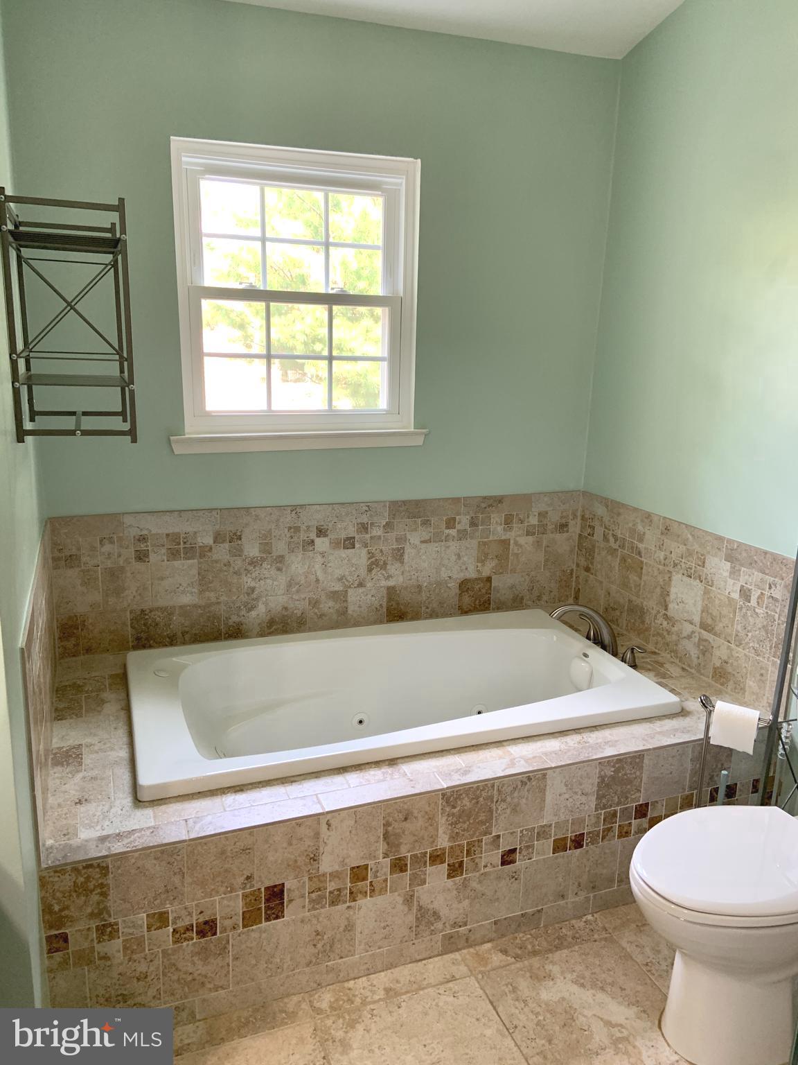2438 Ridgehampton Court Reston, VA 20191 - Photo 24 of 47 Tub area