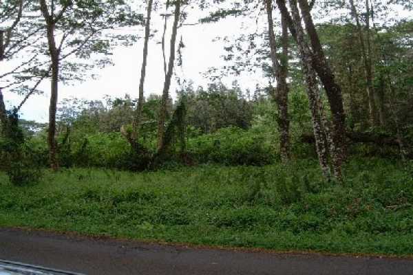 Lot D Pohoiki Road Pahoa, HI 96778 - Photo 2 of 5 Gallery Image 2