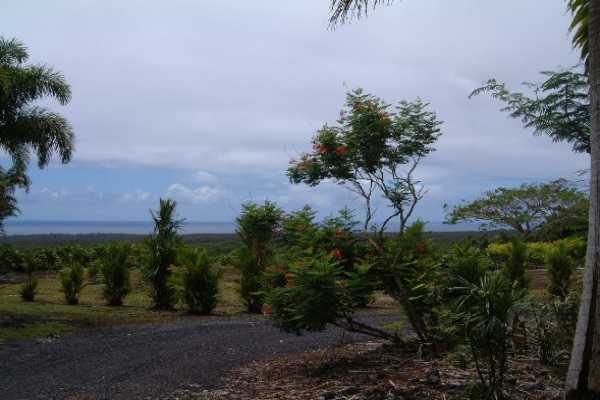 Lot D Pohoiki Road Pahoa, HI 96778 - Photo 3 of 5 Gallery Image 3