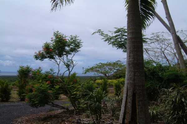 Lot D Pohoiki Road Pahoa, HI 96778 - Photo 4 of 5 Gallery Image 4