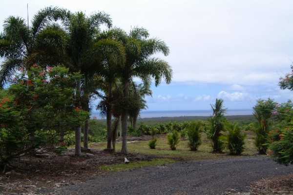 Lot D Pohoiki Road Pahoa, HI 96778 - Photo 5 of 5 Gallery Image 5