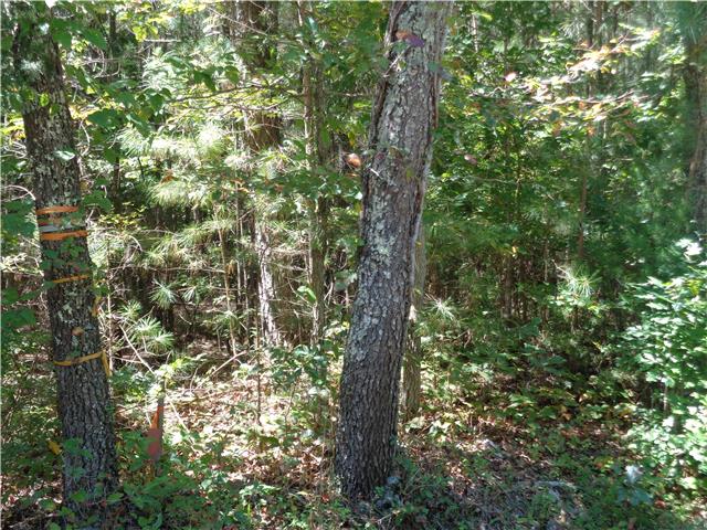 8 Bahne Road Fairview, TN 37062 - Photo 1 of 8 Gallery Image 1