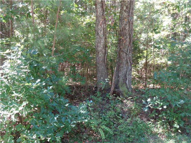 8 Bahne Road Fairview, TN 37062 - Photo 2 of 8 Gallery Image 2