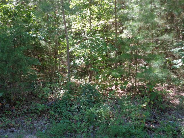8 Bahne Road Fairview, TN 37062 - Photo 3 of 8 Gallery Image 3