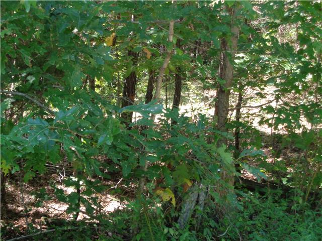 8 Bahne Road Fairview, TN 37062 - Photo 5 of 8 Gallery Image 5