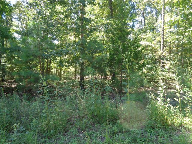 8 Bahne Road Fairview, TN 37062 - Photo 8 of 8 Gallery Image 8