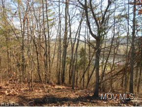 412 Wilderness Valley Road Davisville, WV 26142 - Photo 12 of 18 woods leading into valley