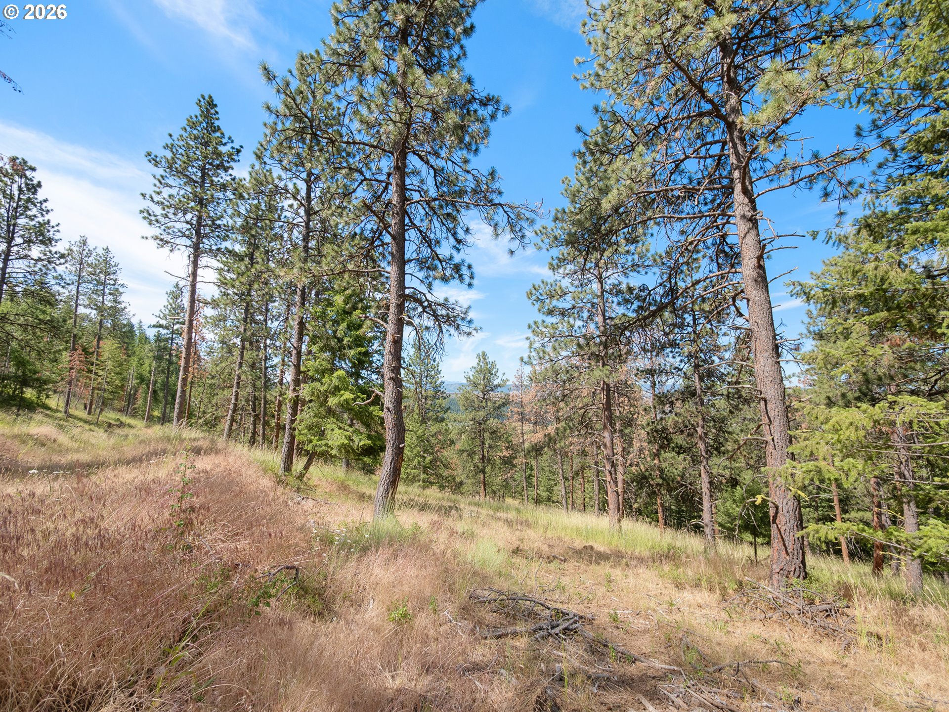 70286 Haefer Lane Cove, OR 97824 - Photo 43 of 44
