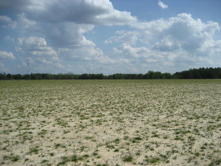 Tract A Toolebeck Road Aiken, SC 29803 - Photo 1 of 1