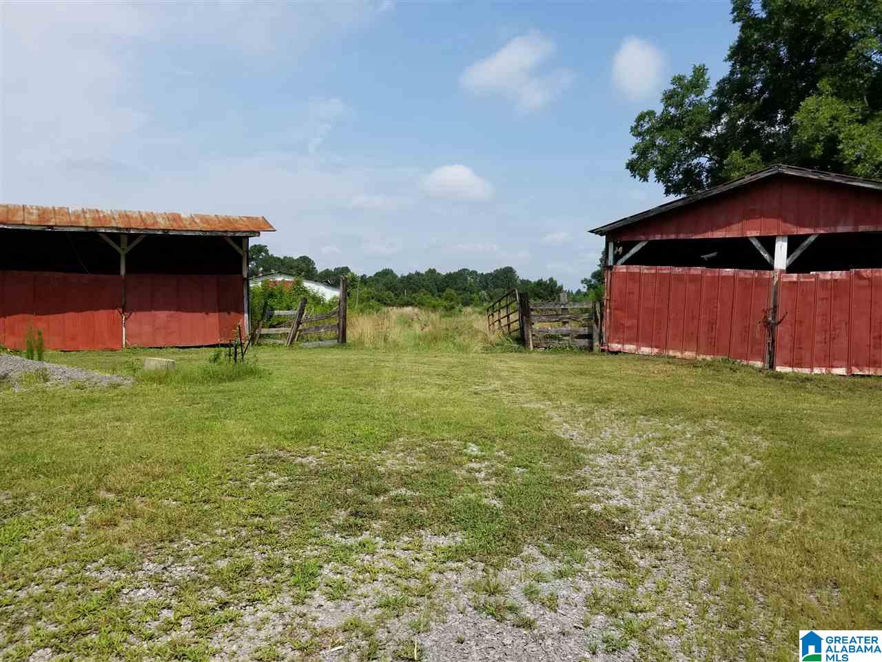 321 County Road 1147 Cullman, AL 35057 - Photo 11 of 32