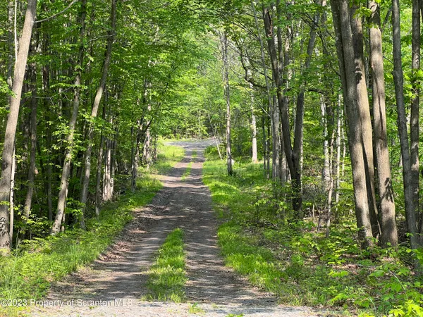 a big yard with lots of green space and trees