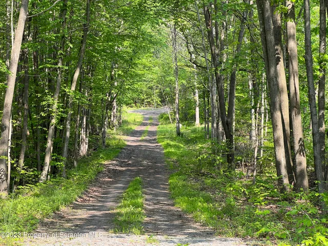 a big yard with lots of green space and trees
