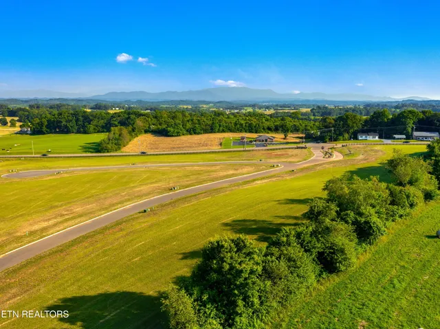 $95,000 | Lot 4 Pine Meadows Drive, White Pine, TN 37890
