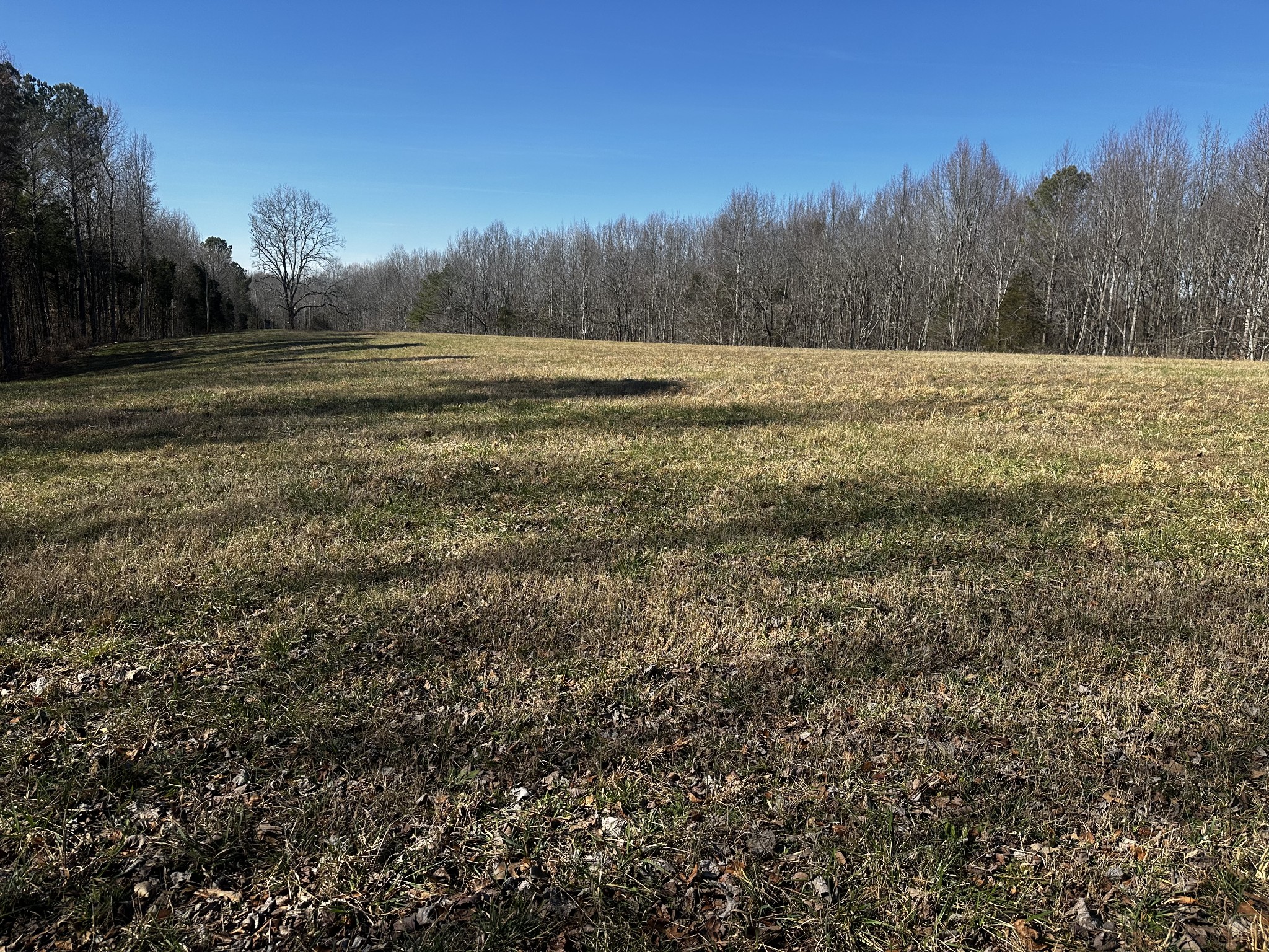 0 Pleasant Ridge Road Huntland, TN 37345 - Photo 1 of 19
