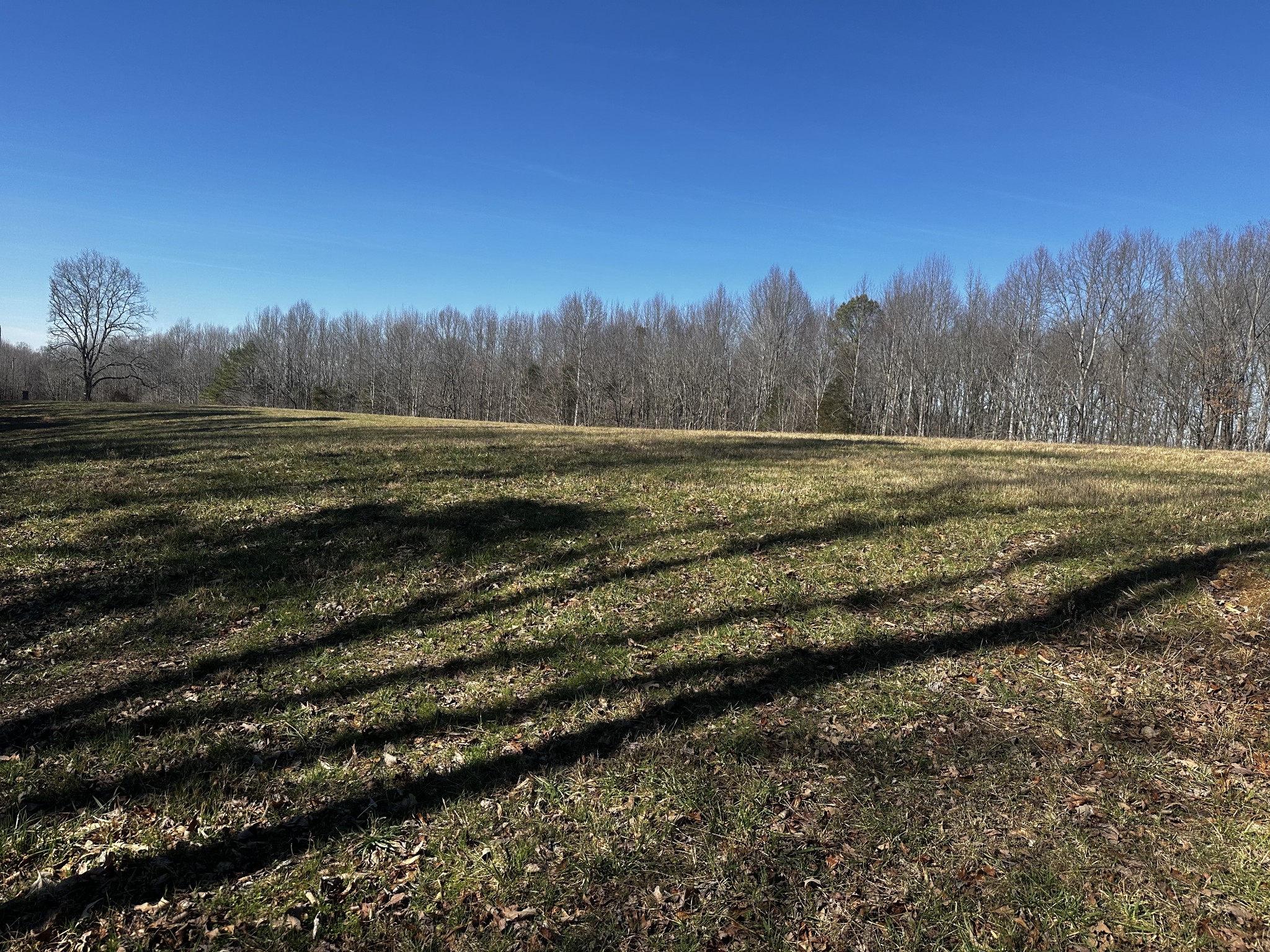 0 Pleasant Ridge Road Huntland, TN 37345 - Photo 11 of 20 a view of a yard with an outdoor space