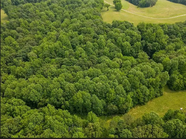a view of a field of grass and trees