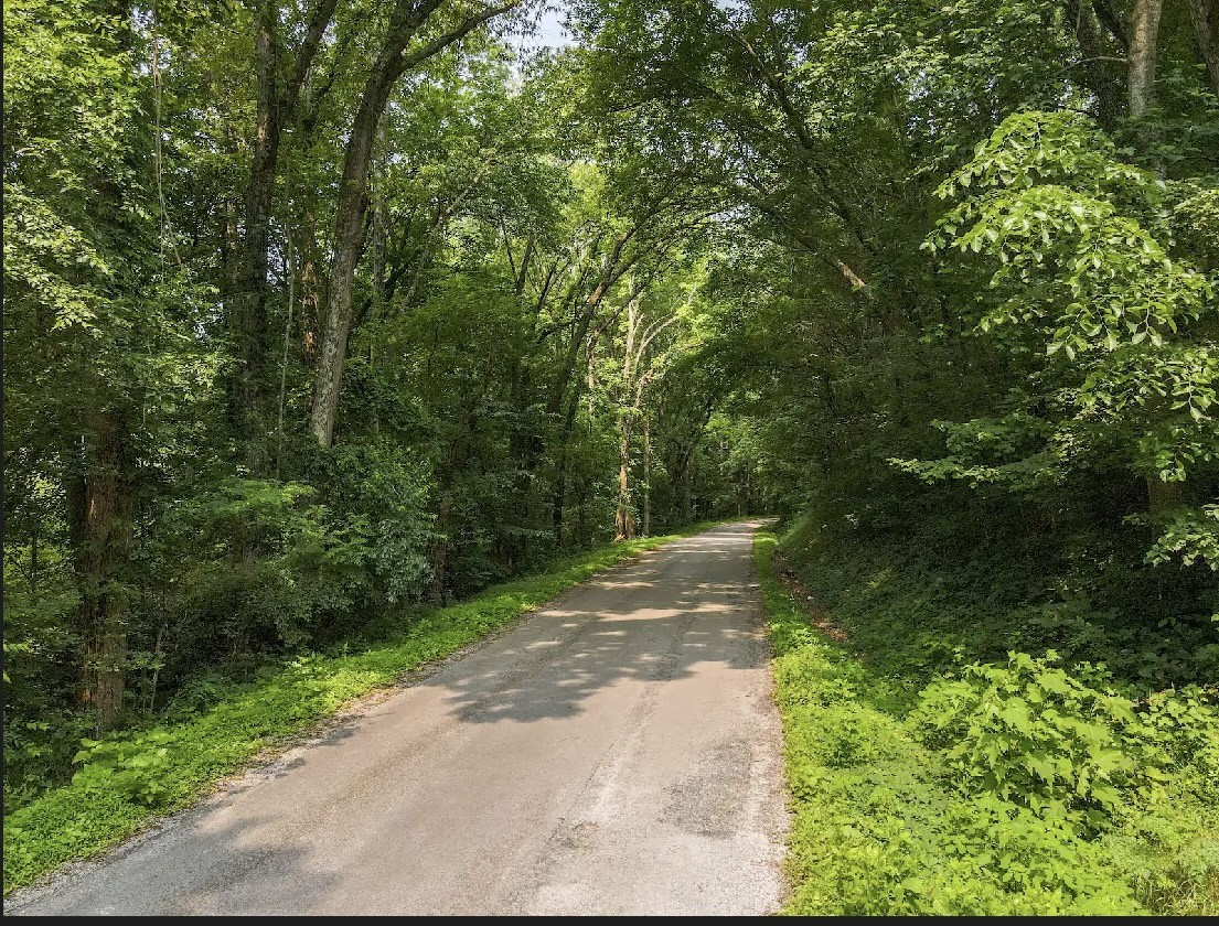 0 Pleasant Ridge Road Huntland, TN 37345 - Photo 14 of 20 a pathway of a yard