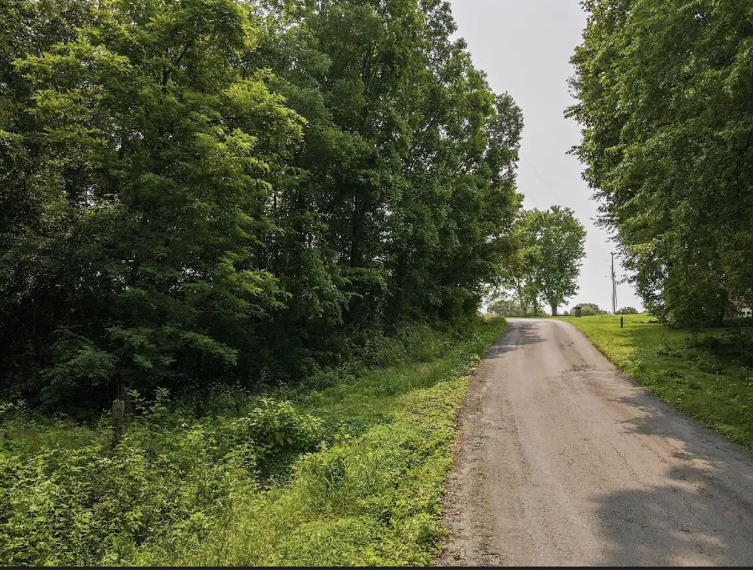 0 Pleasant Ridge Road Huntland, TN 37345 - Photo 15 of 20 a view of a street