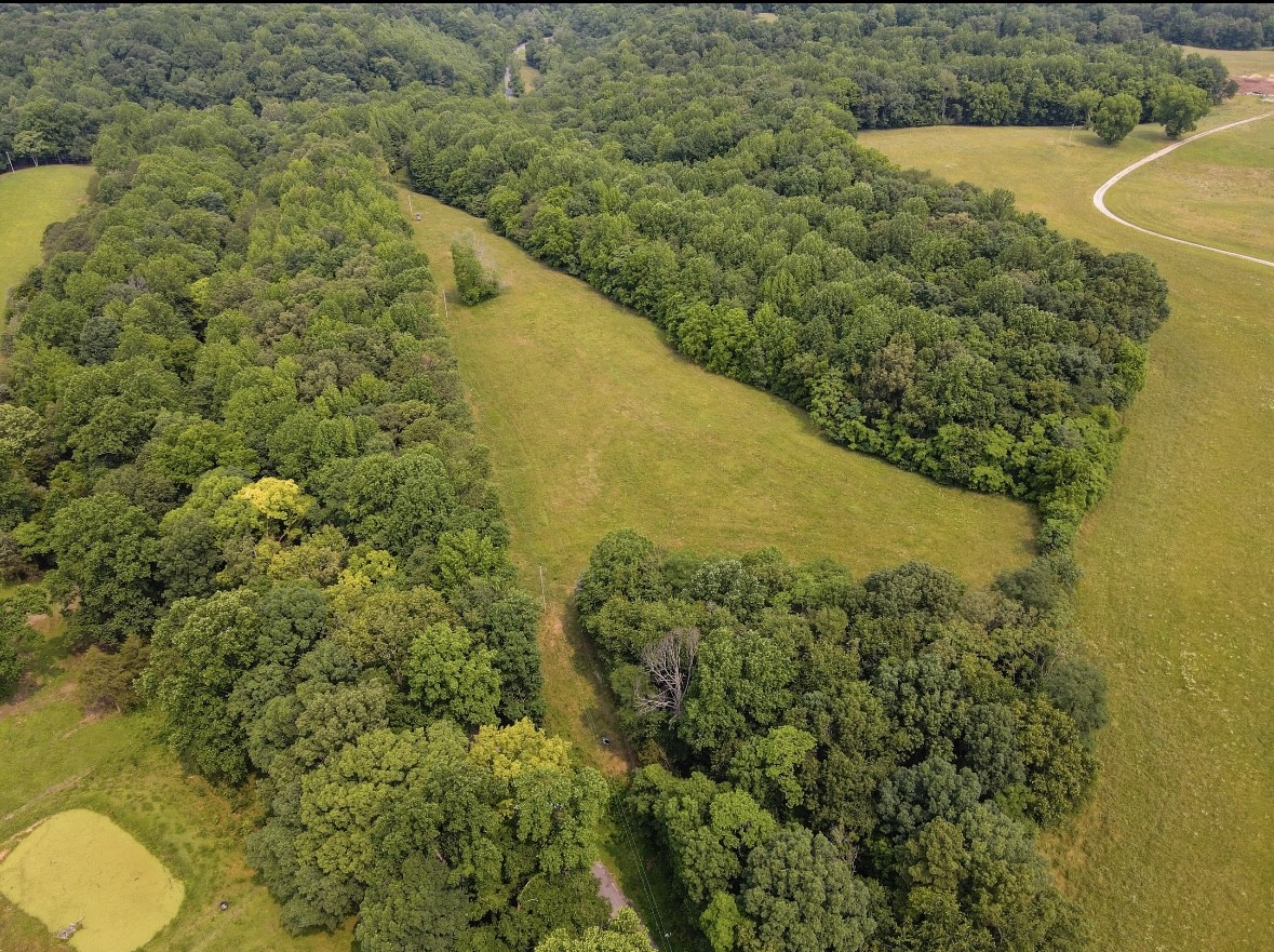 0 Pleasant Ridge Road Huntland, TN 37345 - Photo 18 of 20 a view of a lake with a yard