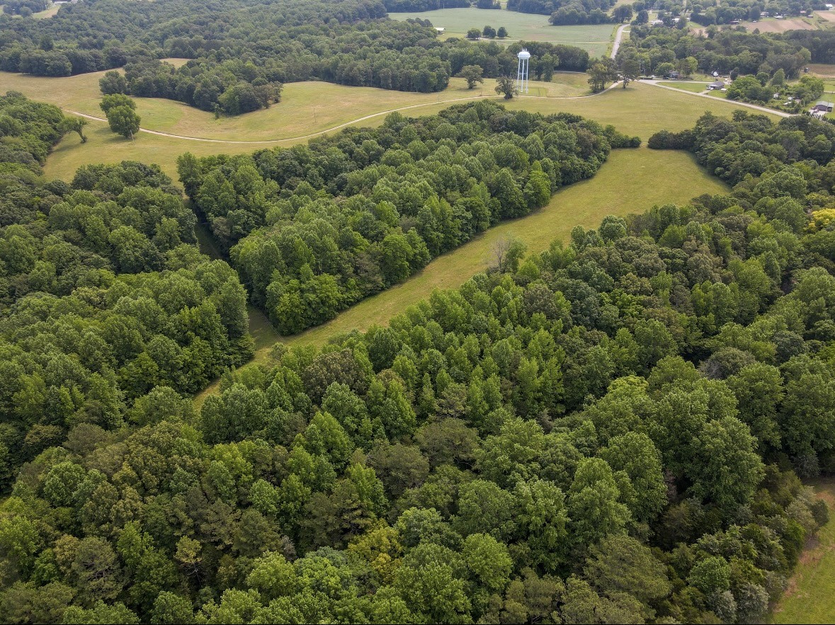 0 Pleasant Ridge Road Huntland, TN 37345 - Photo 18 of 19