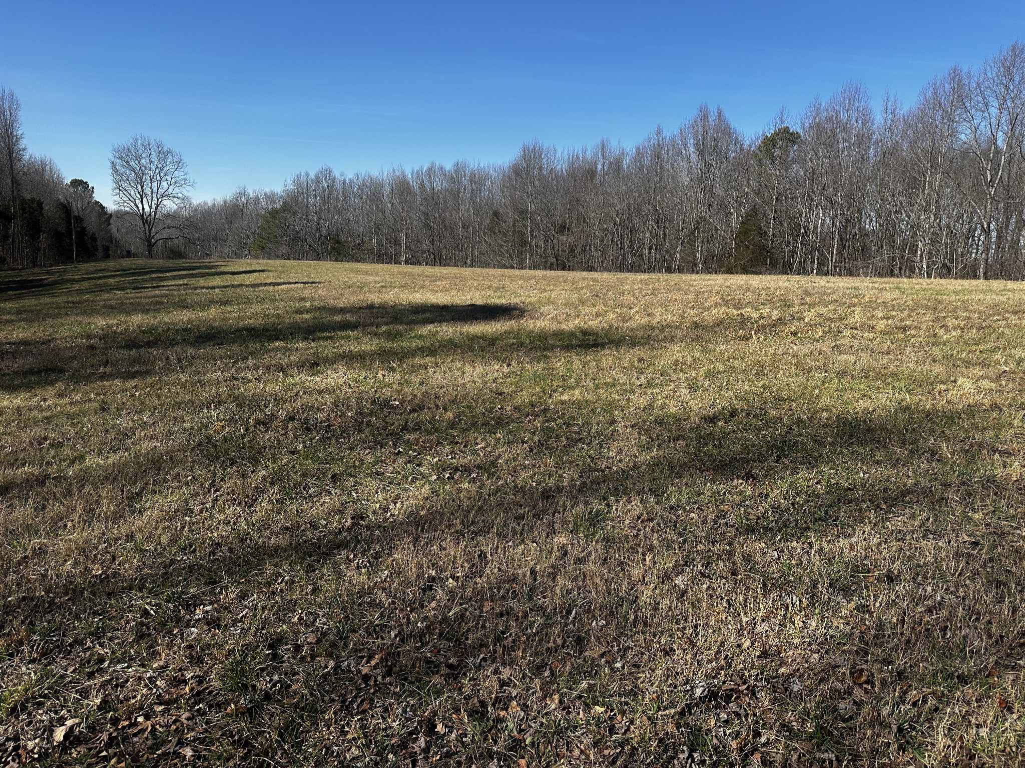 0 Pleasant Ridge Road Huntland, TN 37345 - Photo 4 of 20 a view of an outdoor space and a yard