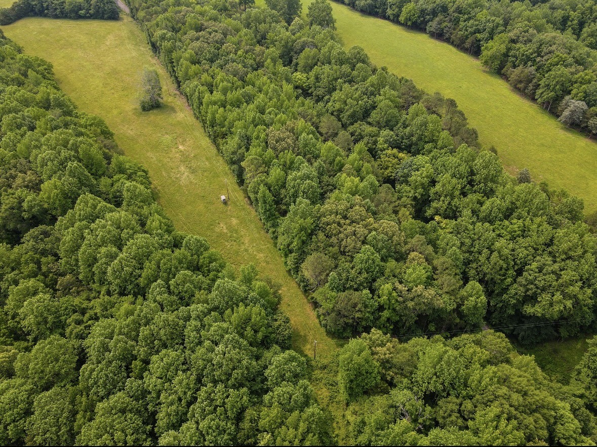 0 Pleasant Ridge Road Huntland, TN 37345 - Photo 6 of 20 a view of a large body of water with a large tree