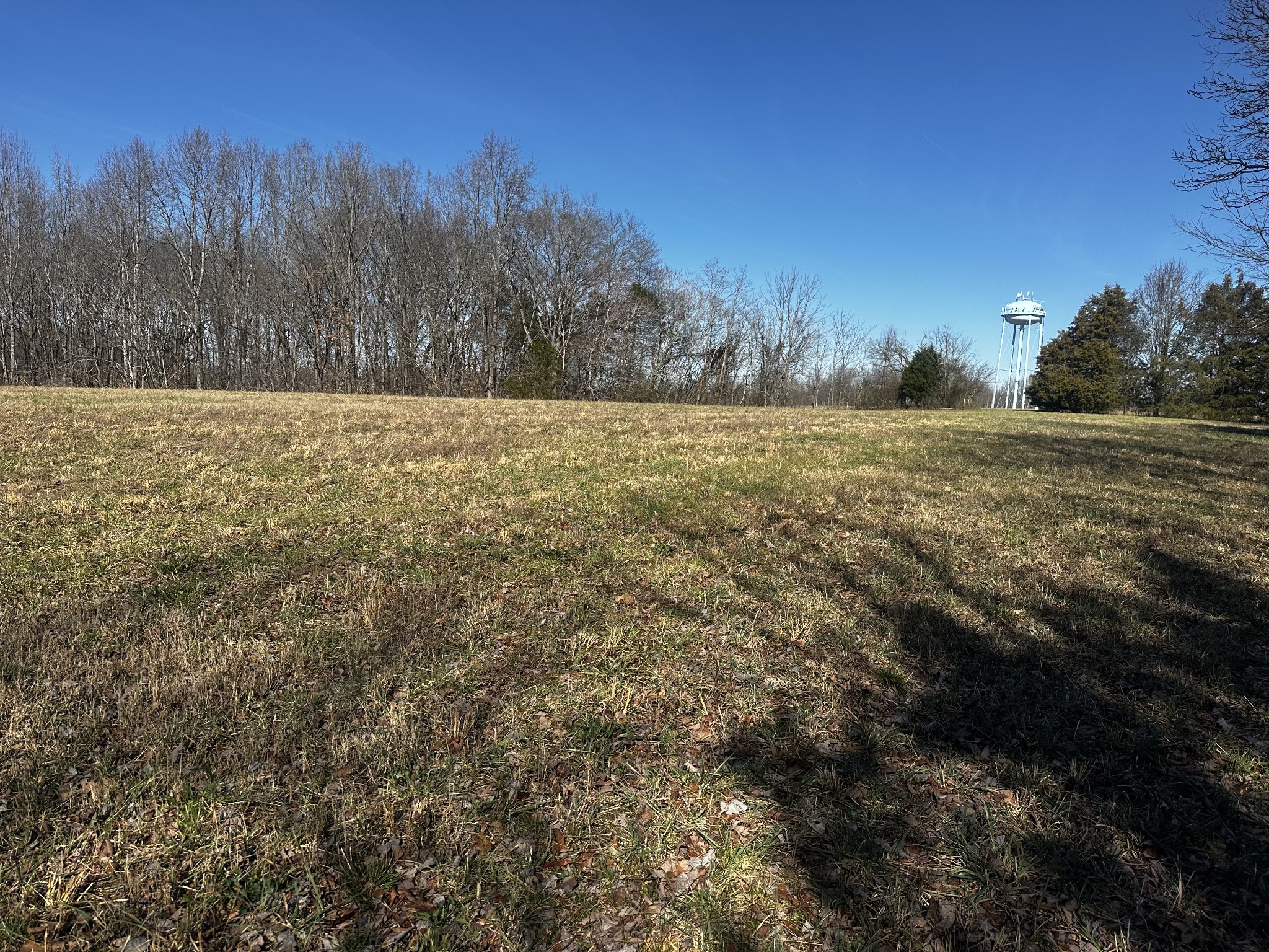 0 Pleasant Ridge Road Huntland, TN 37345 - Photo 7 of 20 a view of outdoor space and yard